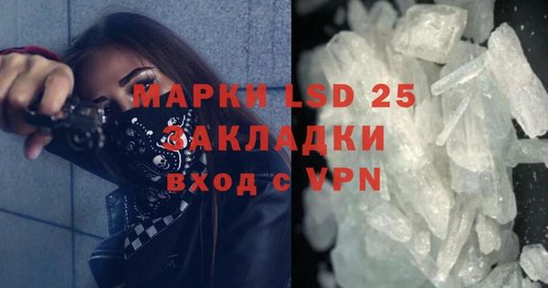 гашик Аркадак