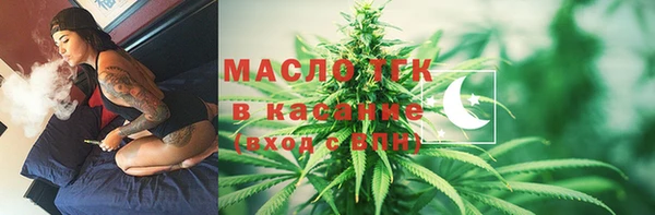 гашик Аркадак
