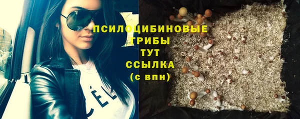 гашик Аркадак